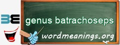 WordMeaning blackboard for genus batrachoseps